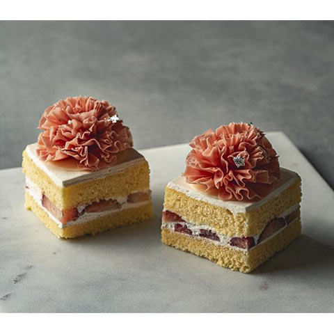 パティスリー パブロフ ［母の日ギフト］ガトーフレーズフルール