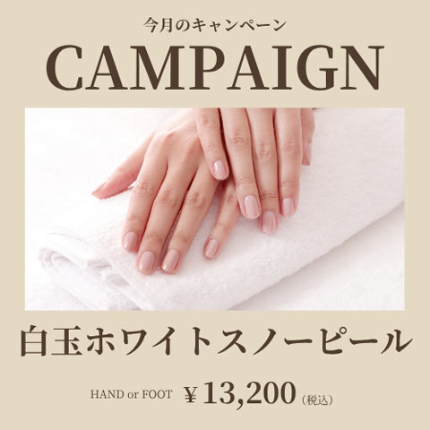 ［10月の特別キャンペーン］白玉ホワイトスノーピール ￥13,200（税込）