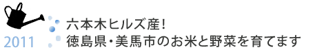 六本木Hills生產！我們長大了德島縣美馬大米和蔬菜