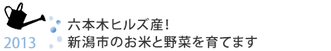 六本木新城！我將在新潟市飼養大米和蔬菜