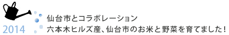 仙台市和協作六本木Hills生產，自小在仙台市大米和蔬菜！