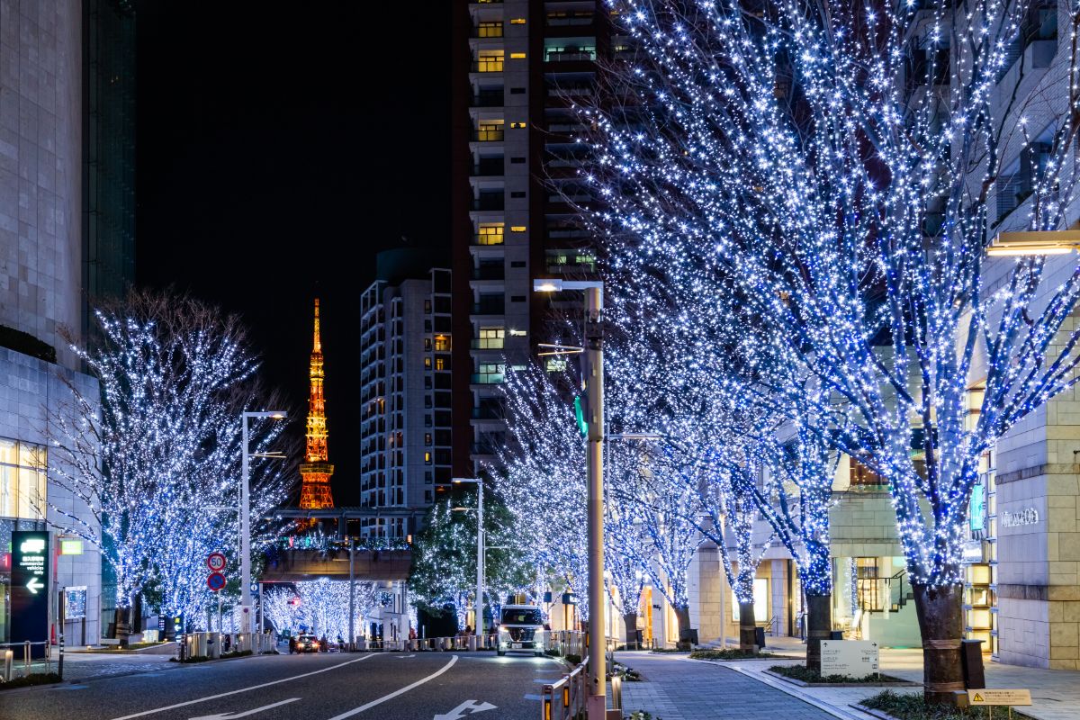 けやき坂イルミネーション | Keyakizaka Illumination | 六本木ヒルズ | Roppongi Hills