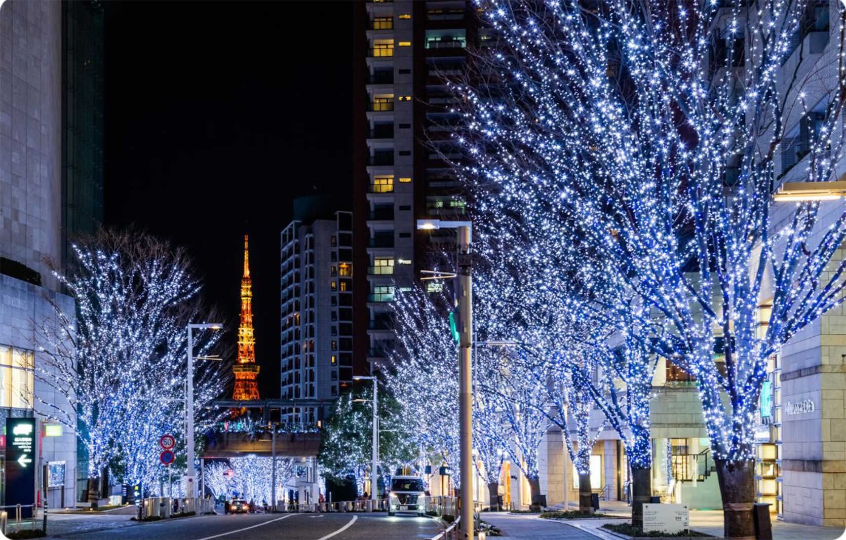 エンポリオ アルマーニ付近 | 六本木ヒルズ | Roppongi Hills