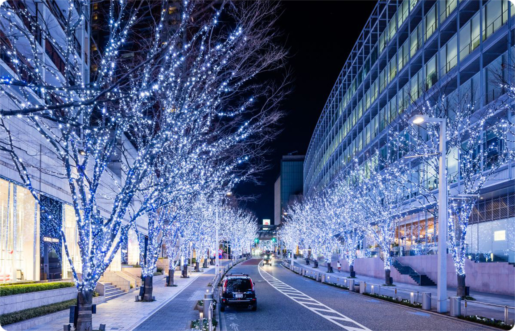 グッチ前 | 六本木ヒルズ | Roppongi Hills