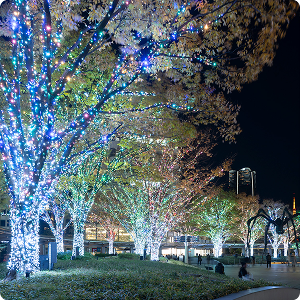 66プラザイルミネーション | 66 Plaza Illumination | 六本木ヒルズ | Roppongi Hills