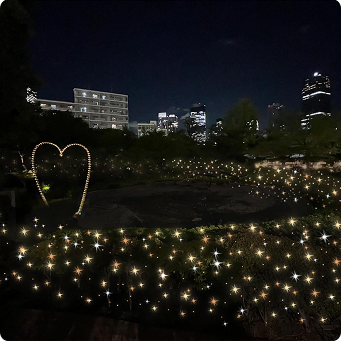 毛利庭園イルミネーション | Mohri Garden Illumination | 六本木ヒルズ | Roppongi Hills