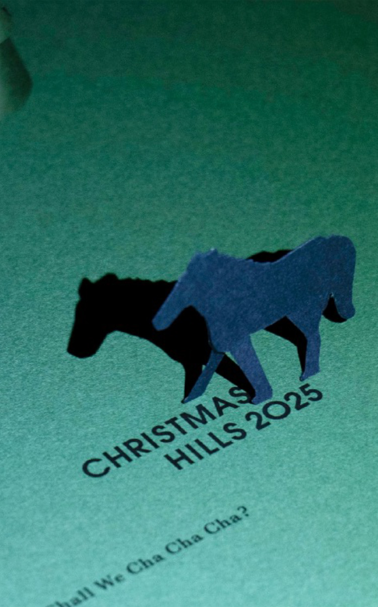 Shall We Cha Cha Cha? CHRISTMAS HILLS 2025