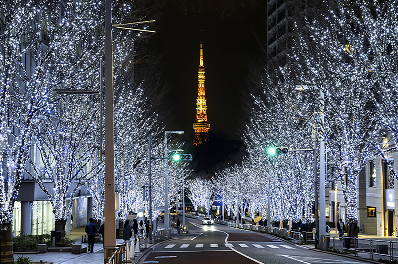 六本木ヒルズ けやき坂イルミネーション | ROPPONGI HILLS Keyakizaka Illumination