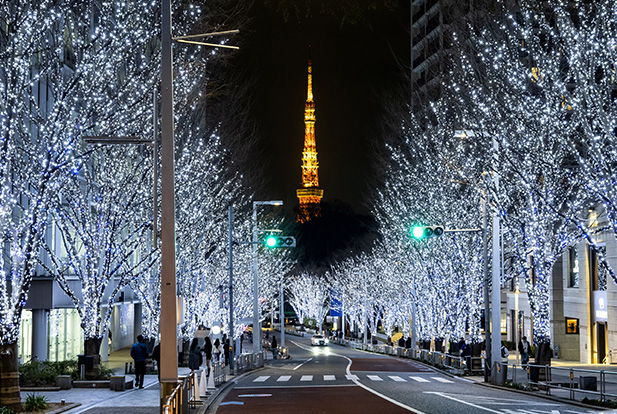 六本木ヒルズ けやき坂イルミネーション | ROPPONGI HILLS Keyakizaka Illumination