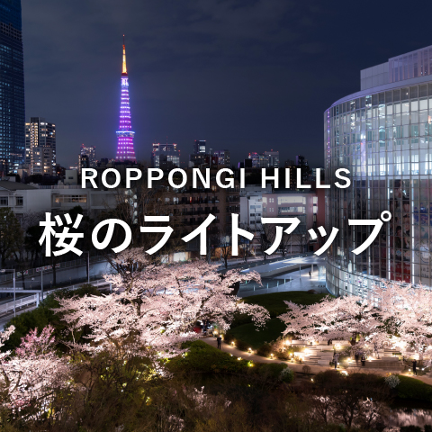 桜のライトアップ 2025